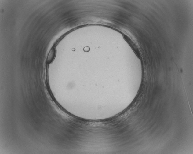 X0000062611136200601181623