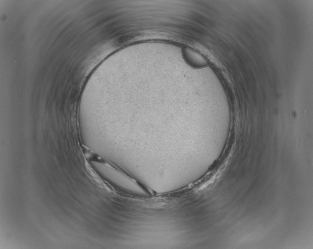 X0000062611137200601181623