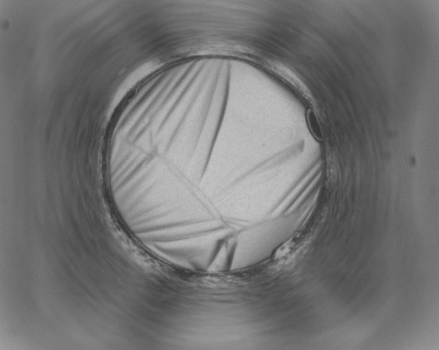 X0000062611138200601181623