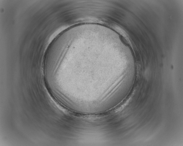 X0000062611141200601181623