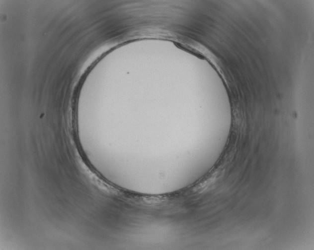 X0000062611147200601181623