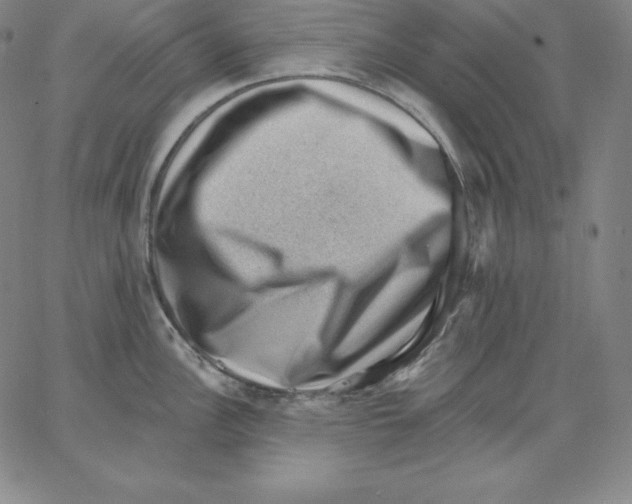 X0000062611148200601181623