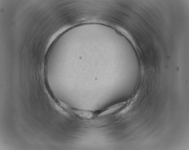 X0000062611149200601181623