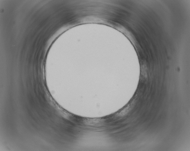 X0000062611150200601181623