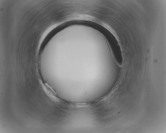 X0000062611152200601181623