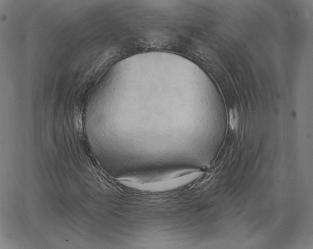 X0000062611155200601181622