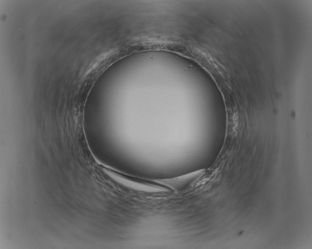 X0000062611157200601181622