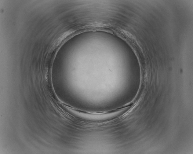 X0000062611161200601181622