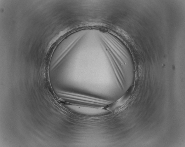 X0000062611165200601181622