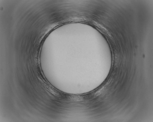 X0000062611170200601181622