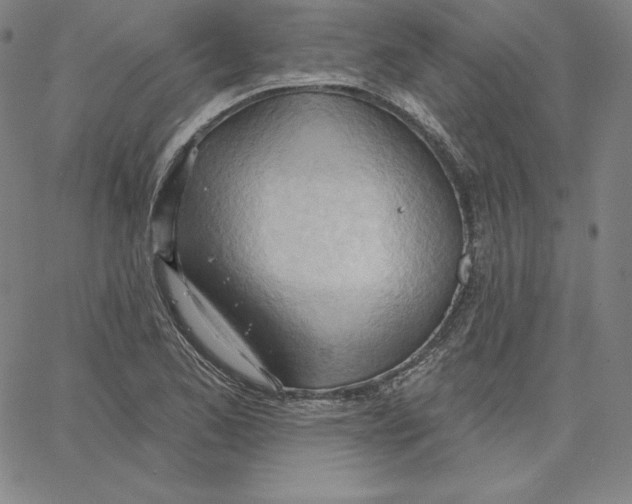 X0000062611173200601181622