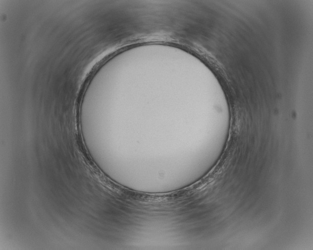 X0000062611174200601181622