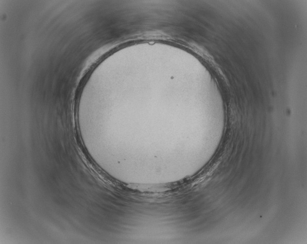 X0000062611176200601181622