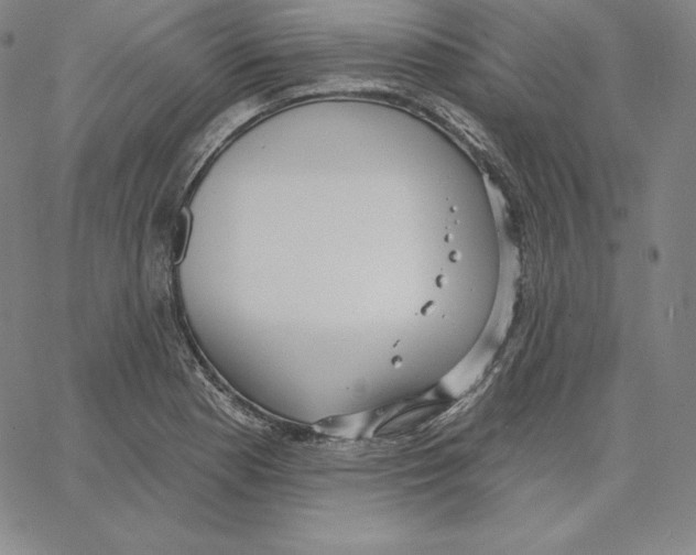 X0000062611177200601181622