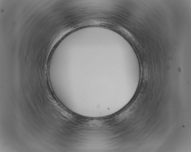 X0000062611178200601181622