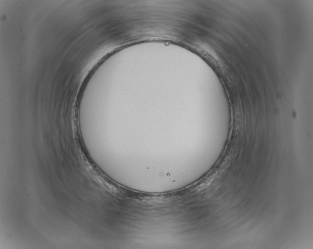 X0000062611182200601181622