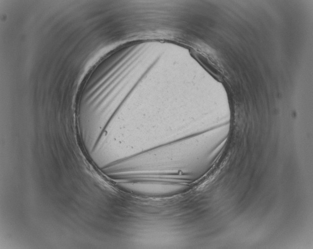 X0000062611184200601181622