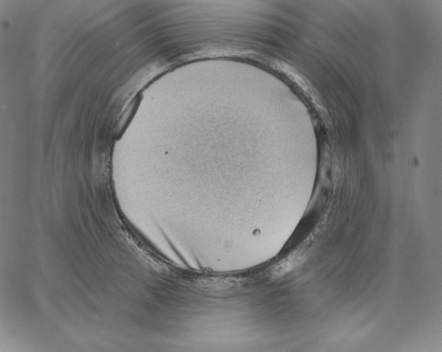 X0000062611185200601181622