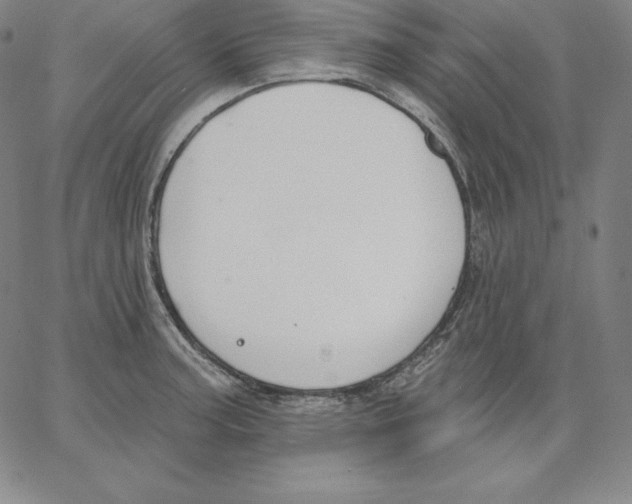 X0000062611187200601181622