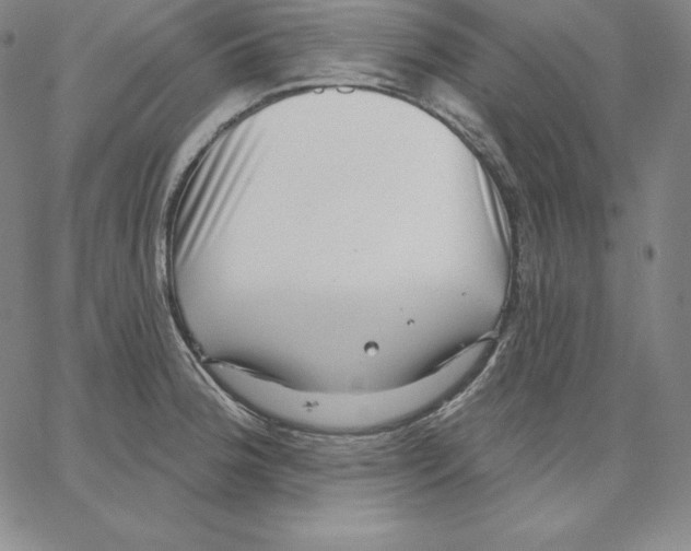 X0000062611188200601181622