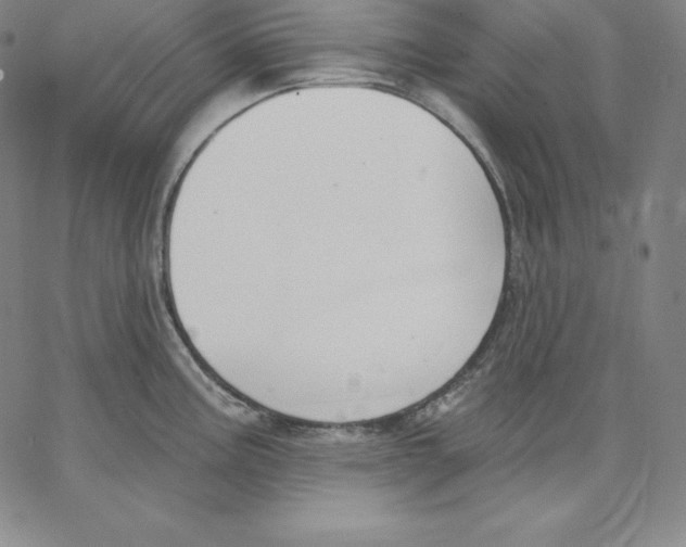 X0000062611195200601181621