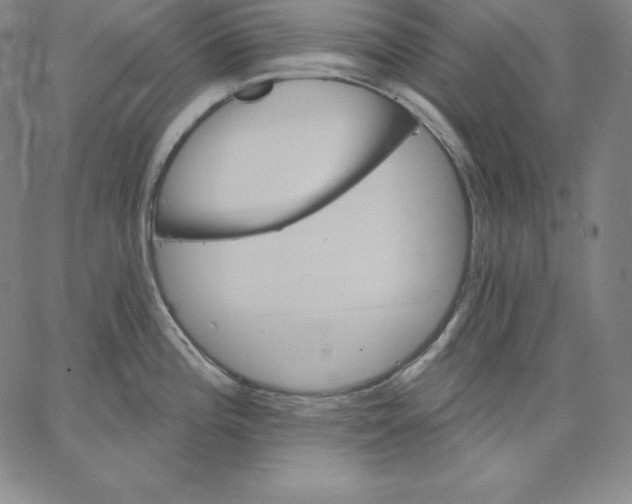 X0000062611196200601181621