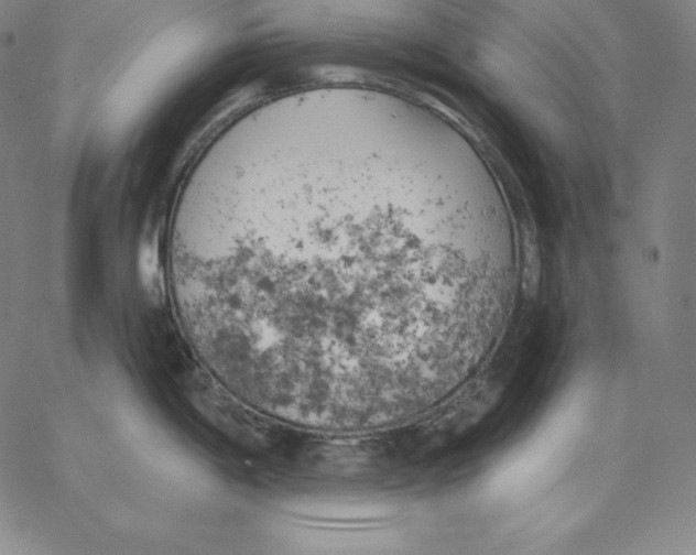 X0000062611198200601181621