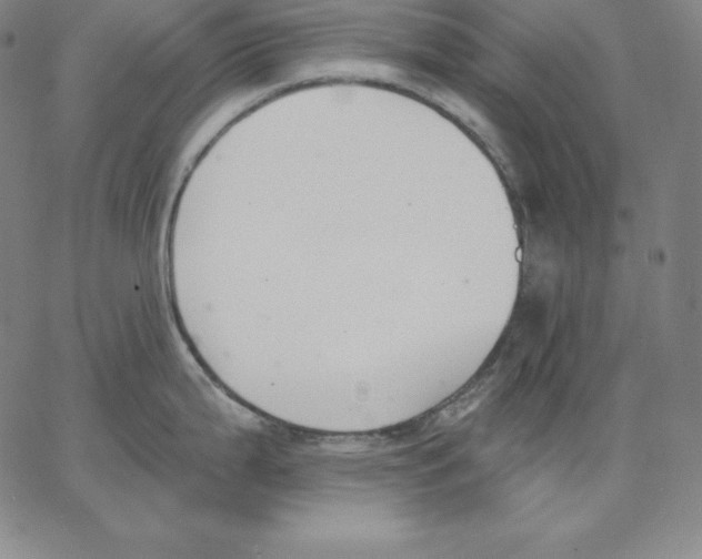 X0000062611199200601181621