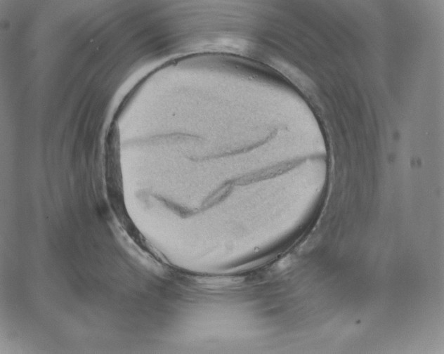 X0000062611200200601181621