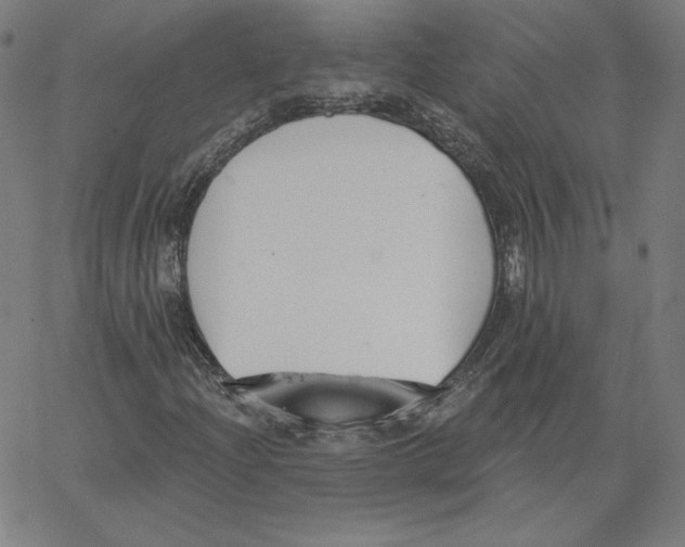 X0000062611204200601181621