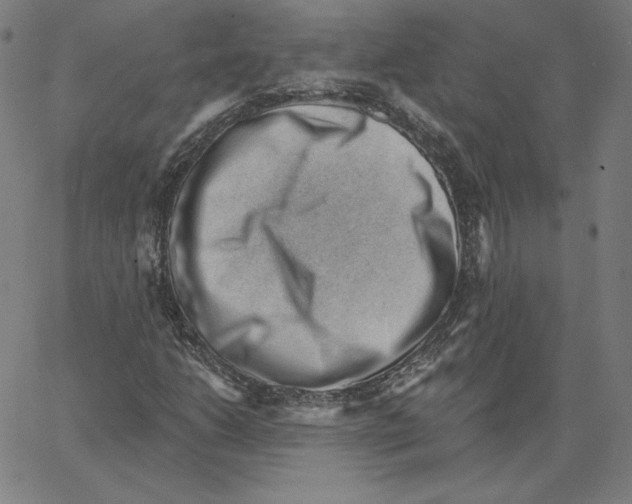 X0000062611206200601181621