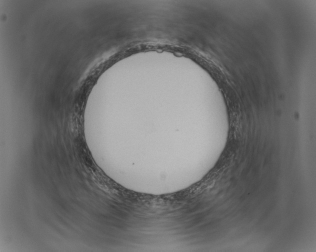 X0000062611207200601181621