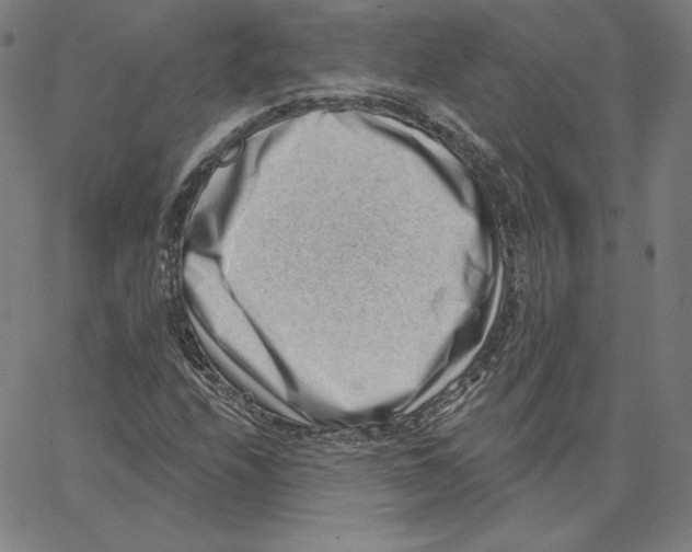 X0000062611208200601181621