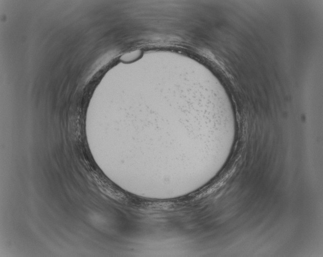 X0000062611211200601181621