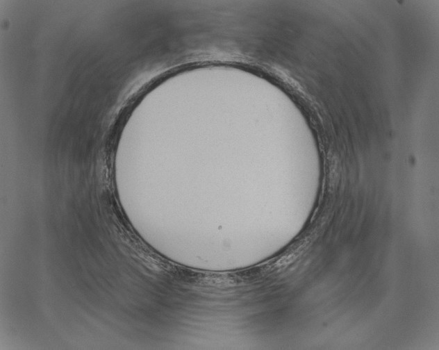 X0000062611215200601181621