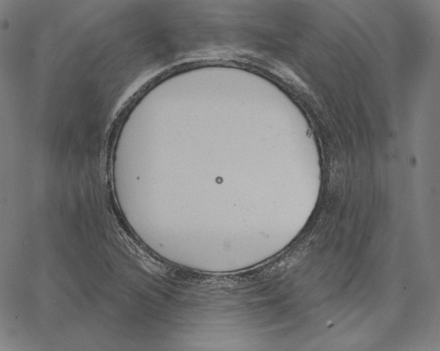 X0000062611216200601181621