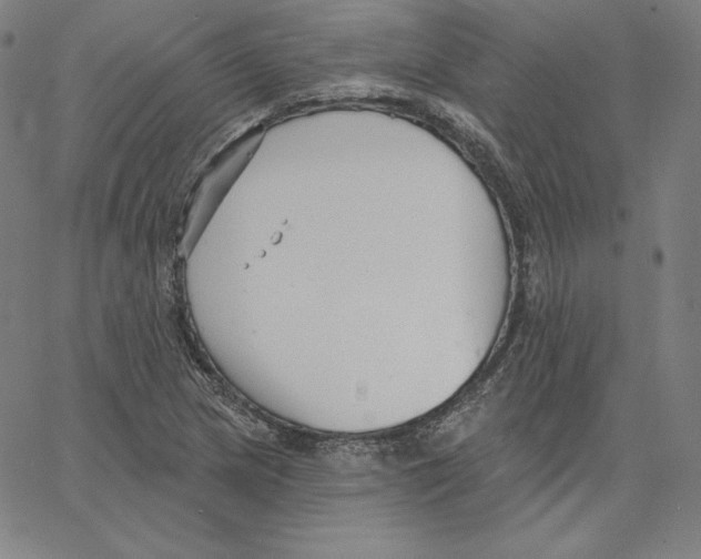 X0000062611217200601181621