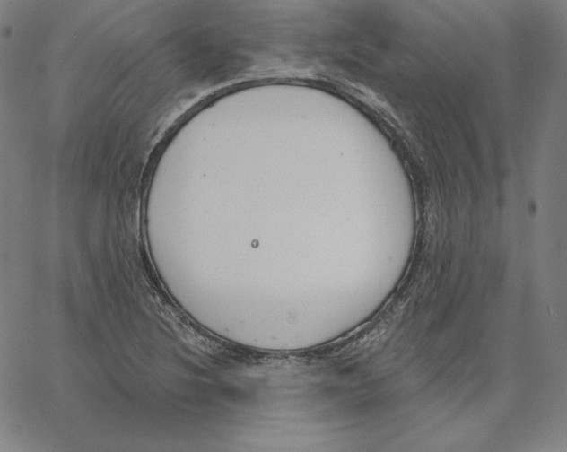 X0000062611220200601181621