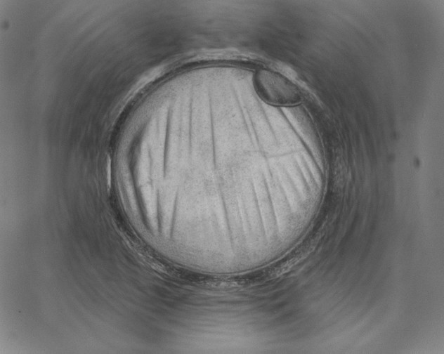 X0000062611221200601181621