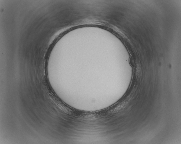 X0000062611222200601181621