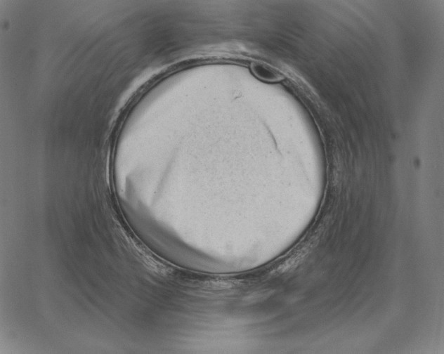 X0000062611224200601181621