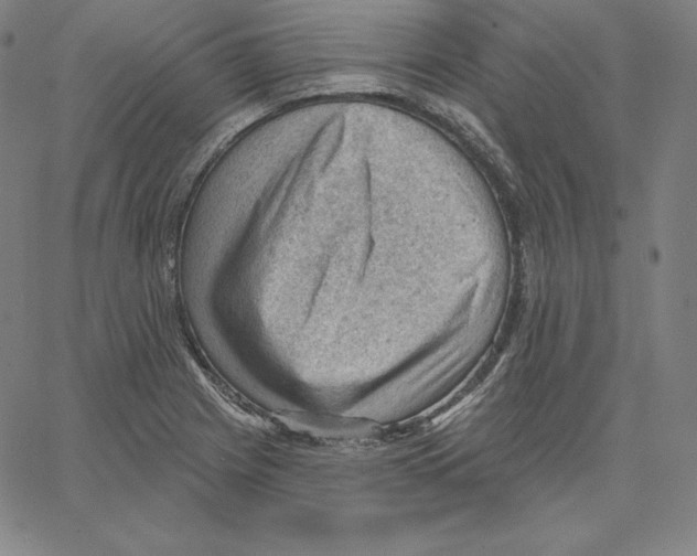 X0000062611225200601181621