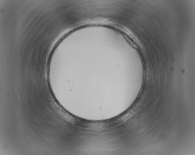 X0000062611232200601181621