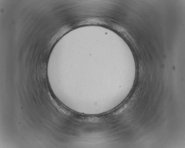 X0000062611233200601181621