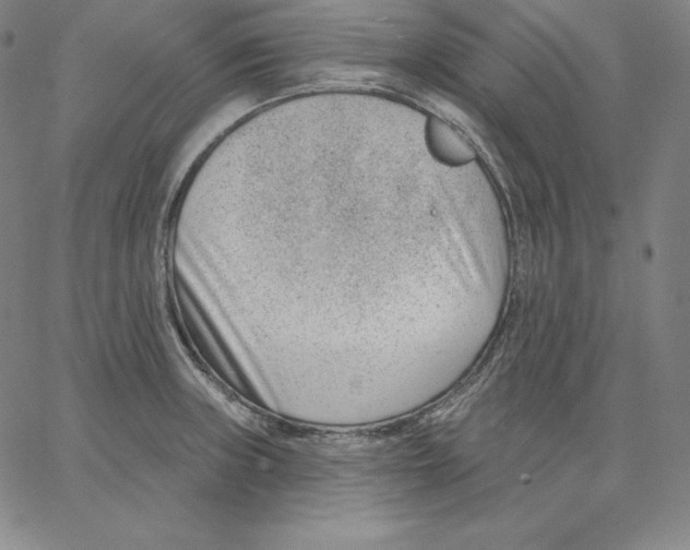 X0000062611235200601181621