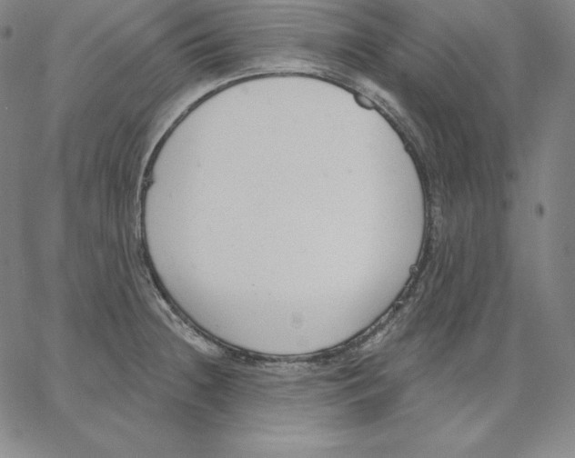 X0000062611236200601181621