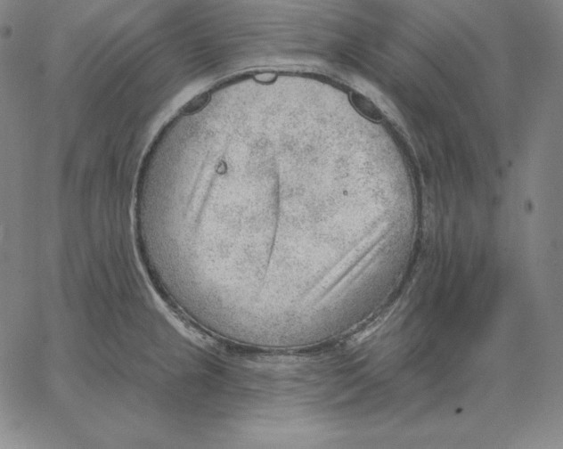 X0000062611237200601181621