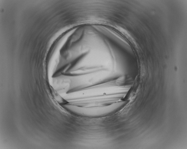 X0000062611238200601181621