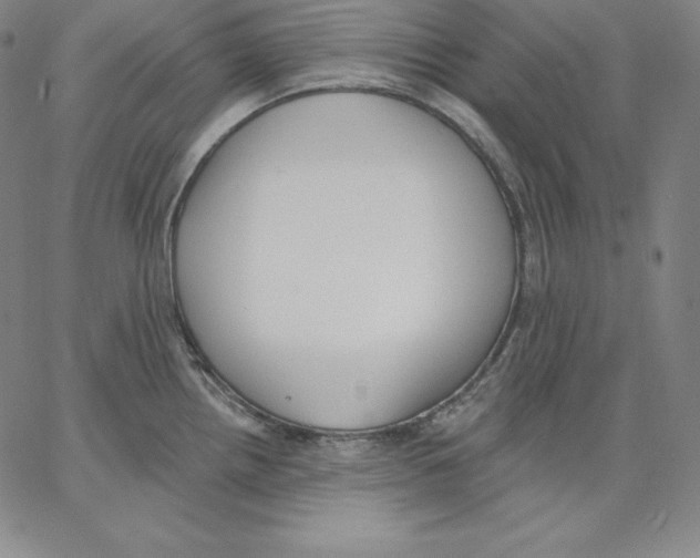 X0000062611242200601181621