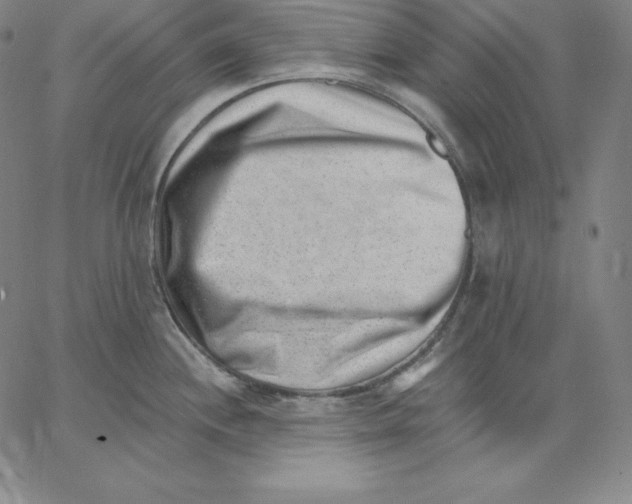 X0000062611244200601181621